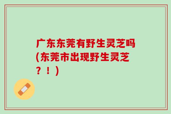 广东东莞有野生灵芝吗(东莞市出现野生灵芝？！)