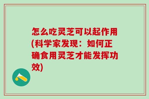 怎么吃灵芝可以起作用(科学家发现：如何正确食用灵芝才能发挥功效)