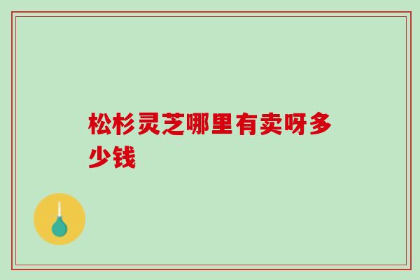 松杉灵芝哪里有卖呀多少钱