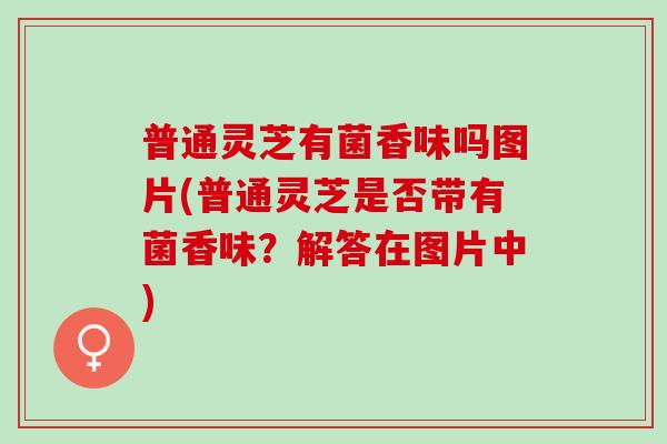 普通灵芝有菌香味吗图片(普通灵芝是否带有菌香味？解答在图片中)