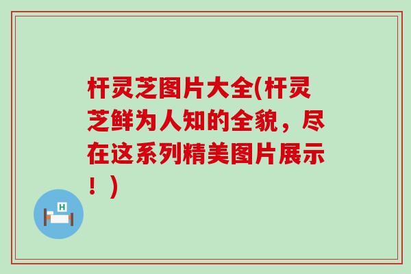 杆灵芝图片大全(杆灵芝鲜为人知的全貌，尽在这系列精美图片展示！)