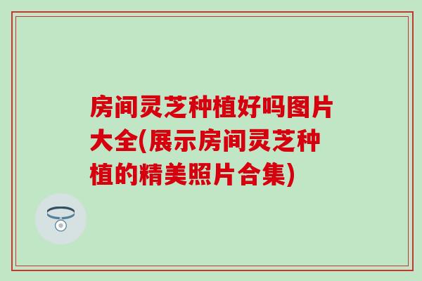 房间灵芝种植好吗图片大全(展示房间灵芝种植的精美照片合集)