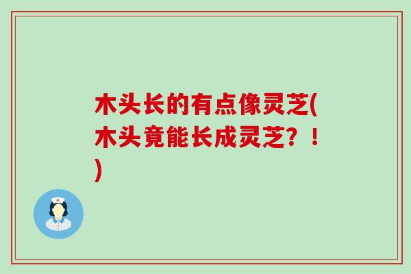 木头长的有点像灵芝(木头竟能长成灵芝？！)