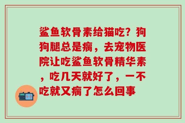 鲨鱼软骨素给猫吃？狗狗腿总是瘸，去宠物医院让吃鲨鱼软骨精华素，吃几天就好了，一不吃就又瘸了怎么回事