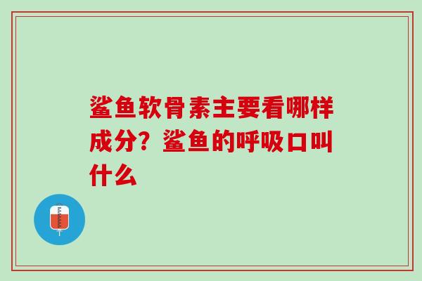鲨鱼软骨素主要看哪样成分？鲨鱼的呼吸口叫什么