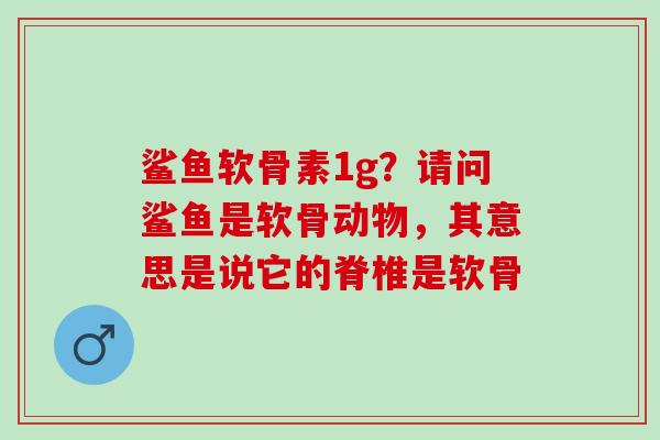 鲨鱼软骨素1g？请问鲨鱼是软骨动物，其意思是说它的脊椎是软骨