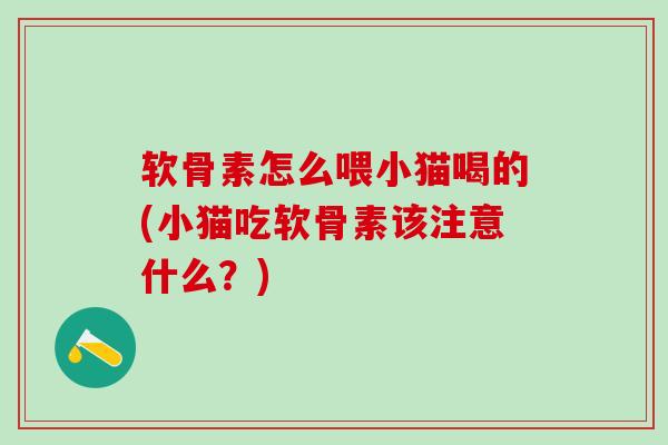 软骨素怎么喂小猫喝的(小猫吃软骨素该注意什么？)