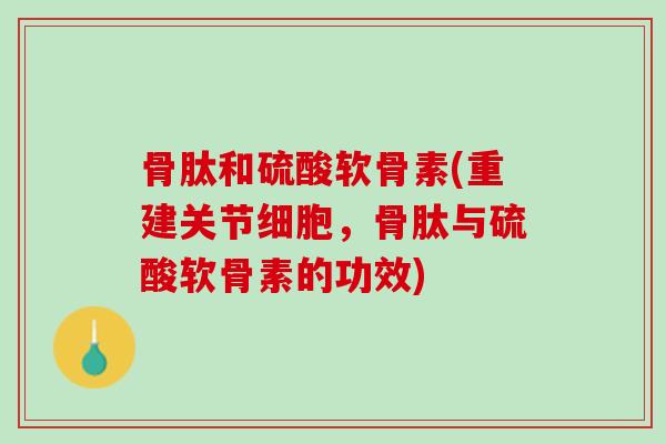 骨肽和硫酸软骨素(重建关节细胞,骨肽与硫酸软骨素的功效) 骨肽和硫酸软骨素(重建关节细胞,骨肽与硫酸软骨素的功效)