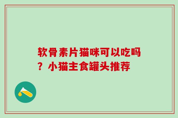 软骨素片猫咪可以吃吗?小猫主食罐头推荐 软骨素片猫咪可以吃吗?小猫主食罐头推荐