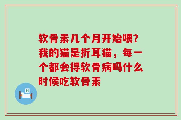 软骨素几个月开始喂？我的猫是折耳猫，每一个都会得软骨病吗什么时候吃软骨素