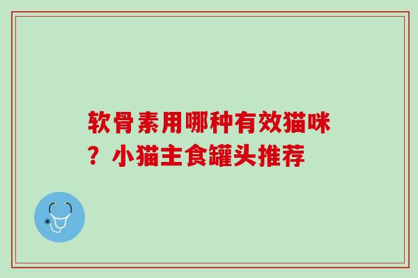 软骨素用哪种有效猫咪？小猫主食罐头推荐