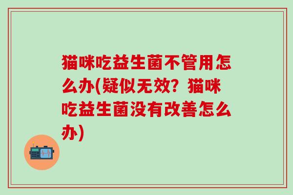 猫咪吃益生菌不管用怎么办(疑似无效？猫咪吃益生菌没有改善怎么办)