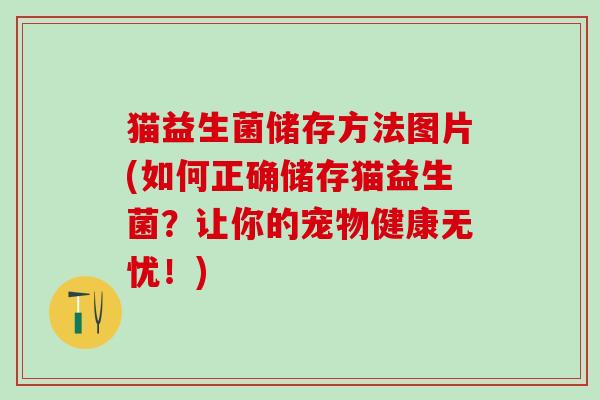 猫益生菌储存方法图片(如何正确储存猫益生菌？让你的宠物健康无忧！)