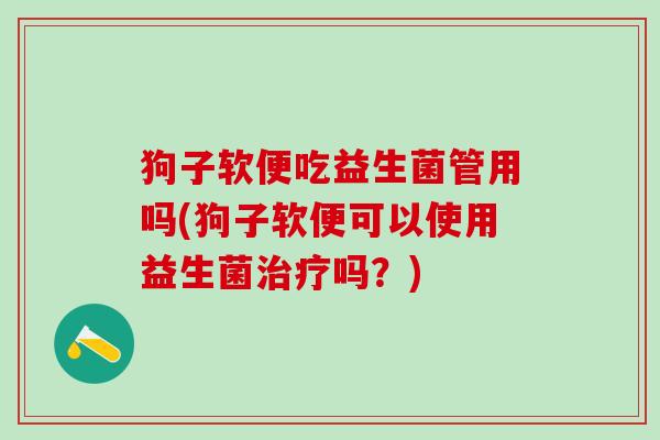 狗子软便吃益生菌管用吗(狗子软便可以使用益生菌治疗吗？)