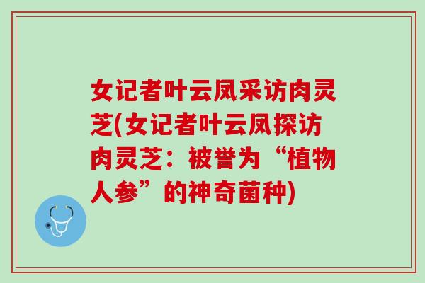 女记者叶云凤采访肉灵芝(女记者叶云凤探访肉灵芝：被誉为“植物人参”的神奇菌种)