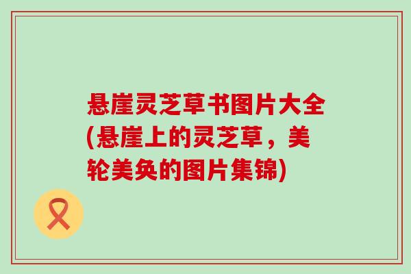 悬崖灵芝草书图片大全(悬崖上的灵芝草，美轮美奂的图片集锦)