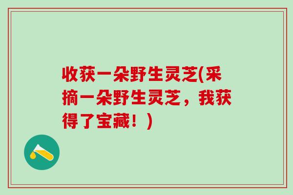 收获一朵野生灵芝(采摘一朵野生灵芝，我获得了宝藏！)