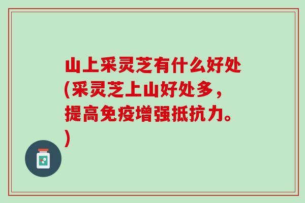山上采灵芝有什么好处(采灵芝上山好处多，提高免疫增强抵抗力。)