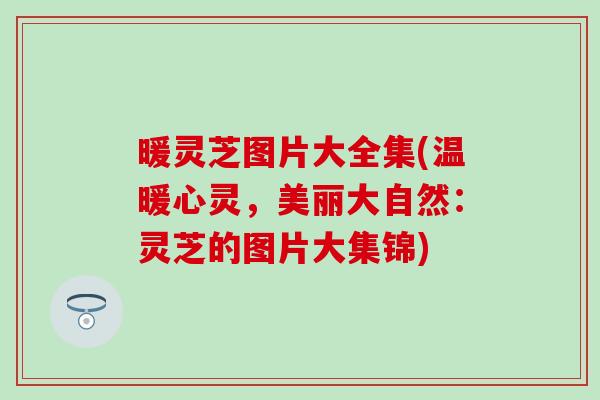 暖灵芝图片大全集(温暖心灵，美丽大自然：灵芝的图片大集锦)