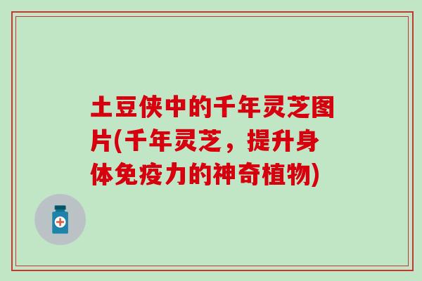 土豆侠中的千年灵芝图片(千年灵芝，提升身体免疫力的神奇植物)