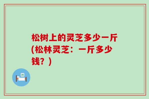 松树上的灵芝多少一斤(松林灵芝：一斤多少钱？)