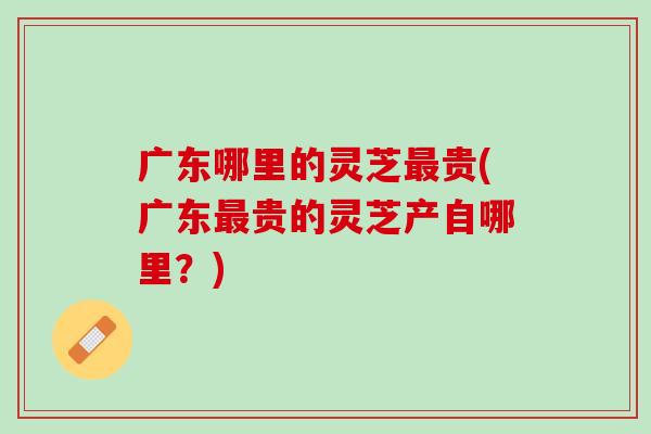 广东哪里的灵芝最贵(广东最贵的灵芝产自哪里？)