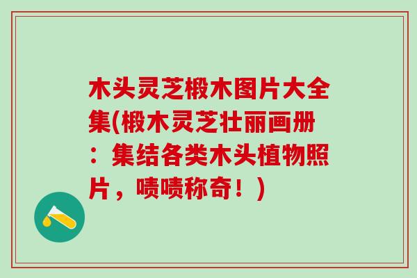 木头灵芝椴木图片大全集(椴木灵芝壮丽画册：集结各类木头植物照片，啧啧称奇！)