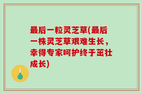 最后一粒灵芝草(最后一株灵芝草艰难生长，幸得专家呵护终于茁壮成长)