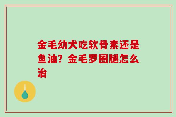 金毛幼犬吃软骨素还是鱼油？金毛罗圈腿怎么治