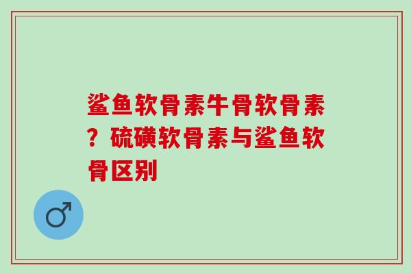 鲨鱼软骨素牛骨软骨素？硫磺软骨素与鲨鱼软骨区别
