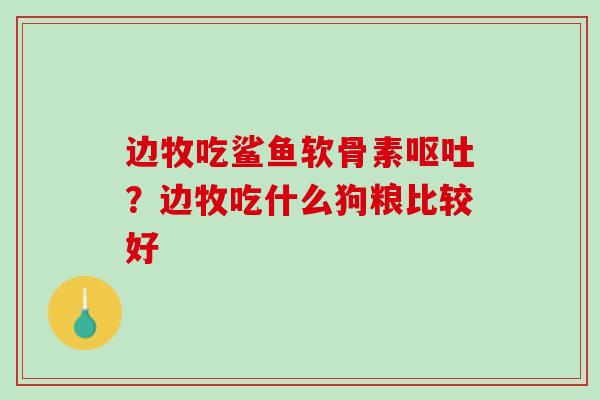 边牧吃鲨鱼软骨素呕吐？边牧吃什么狗粮比较好