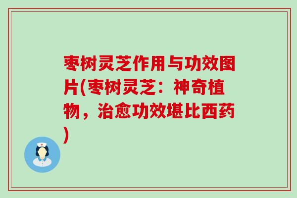 枣树灵芝作用与功效图片(枣树灵芝：神奇植物，治愈功效堪比西药)
