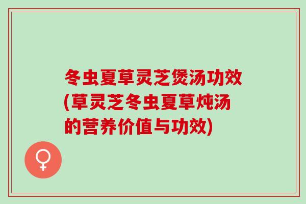 冬虫夏草灵芝煲汤功效(草灵芝冬虫夏草炖汤的营养价值与功效)