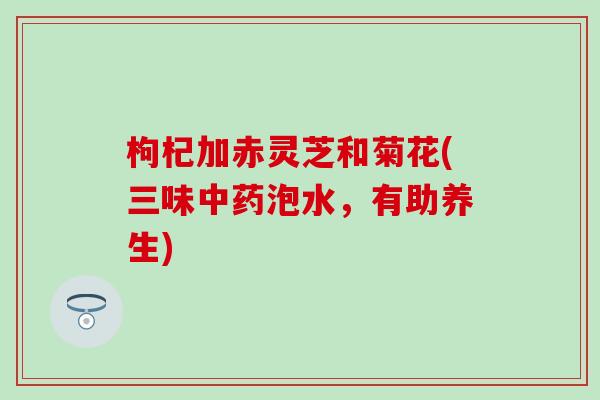 枸杞加赤灵芝和菊花(三味中药泡水，有助养生)