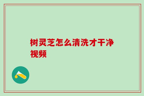树灵芝怎么清洗才干净视频
