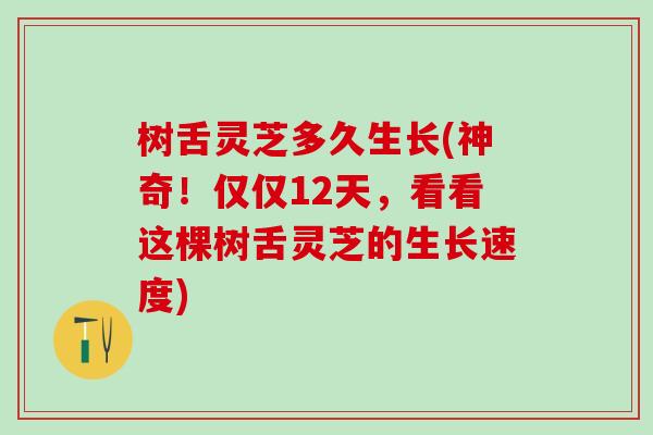 树舌灵芝多久生长(神奇！仅仅12天，看看这棵树舌灵芝的生长速度)