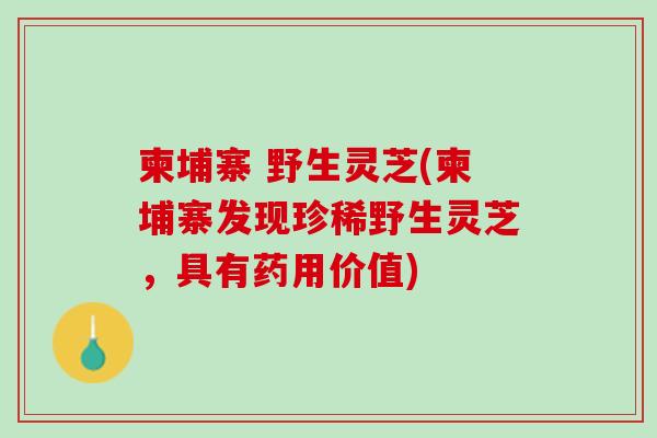柬埔寨 野生灵芝(柬埔寨发现珍稀野生灵芝，具有药用价值)