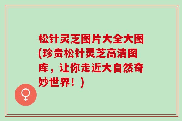 松针灵芝图片大全大图(珍贵松针灵芝高清图库，让你走近大自然奇妙世界！)