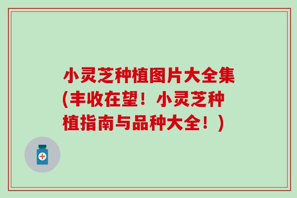 小灵芝种植图片大全集(丰收在望！小灵芝种植指南与品种大全！)
