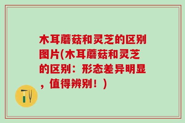 木耳蘑菇和灵芝的区别图片(木耳蘑菇和灵芝的区别：形态差异明显，值得辨别！)