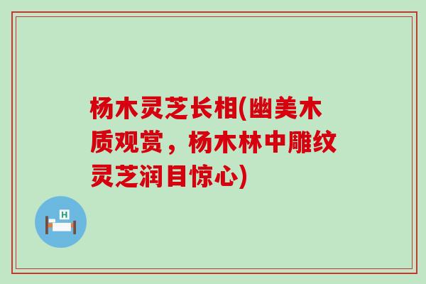 杨木灵芝长相(幽美木质观赏，杨木林中雕纹灵芝润目惊心)