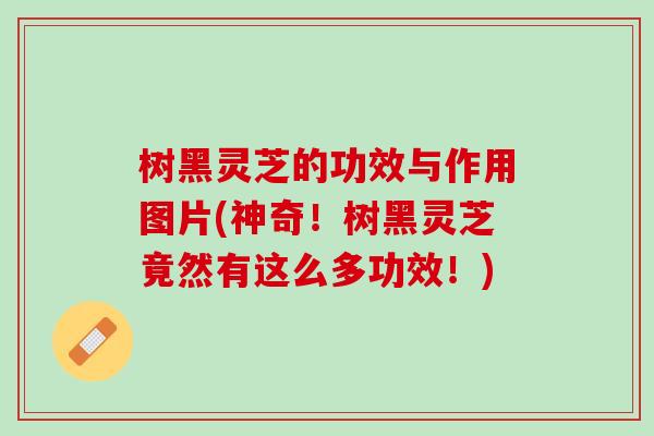 树黑灵芝的功效与作用图片(神奇！树黑灵芝竟然有这么多功效！)