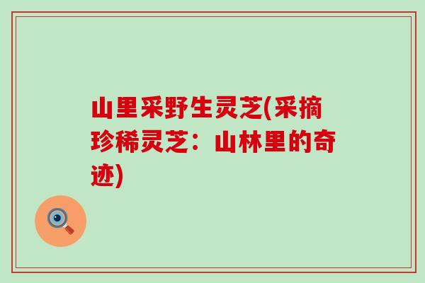 山里采野生灵芝(采摘珍稀灵芝：山林里的奇迹)