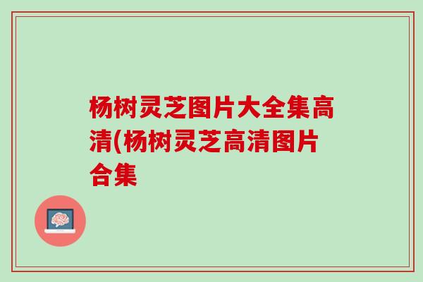 杨树灵芝图片大全集高清(杨树灵芝高清图片合集