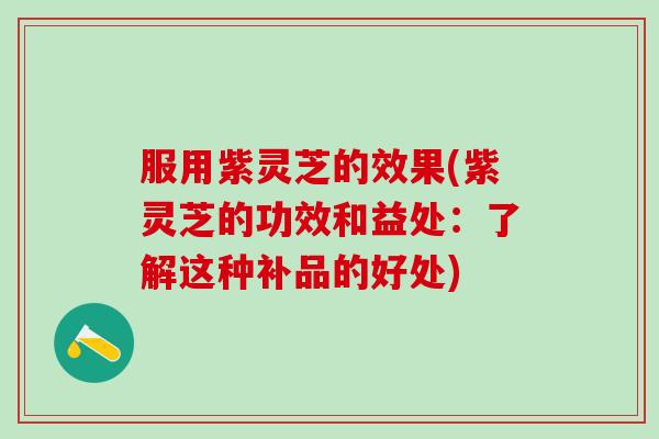 服用紫灵芝的效果(紫灵芝的功效和益处：了解这种补品的好处)