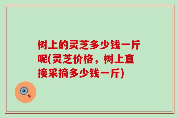 树上的灵芝多少钱一斤呢(灵芝价格，树上直接采摘多少钱一斤)
