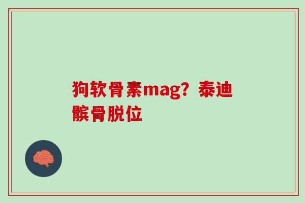 狗软骨素mag？泰迪髌骨脱位