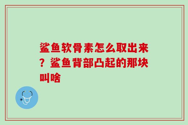 鲨鱼软骨素怎么取出来？鲨鱼背部凸起的那块叫啥