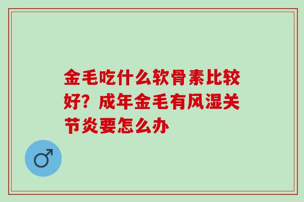 金毛吃什么软骨素比较好？成年金毛有风湿关节炎要怎么办