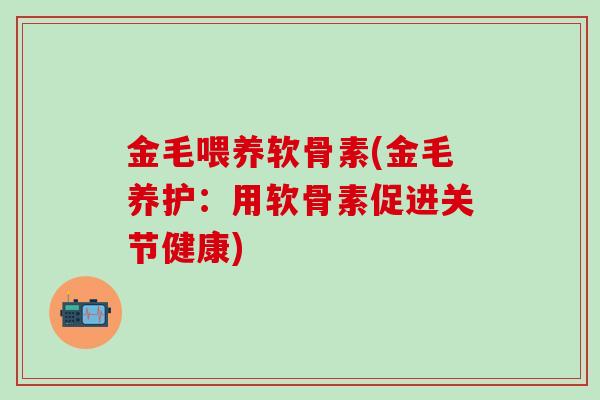 金毛喂养软骨素(金毛养护：用软骨素促进关节健康)